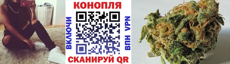 где купить   Клинцы  Конопля сатива 